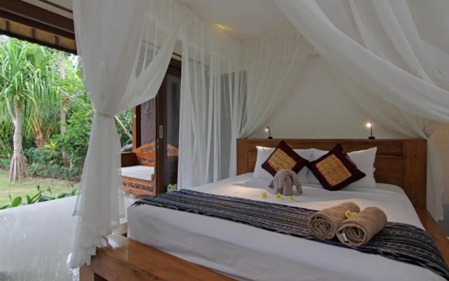 Pazzo Bali