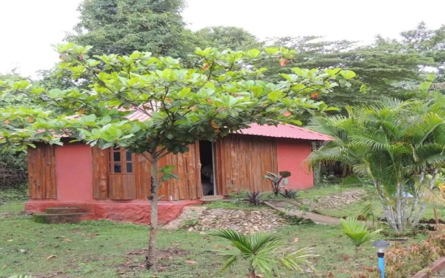 Dandeli Mysa RC - Hostel