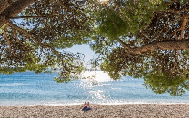 Bluesun Hotel Alga
