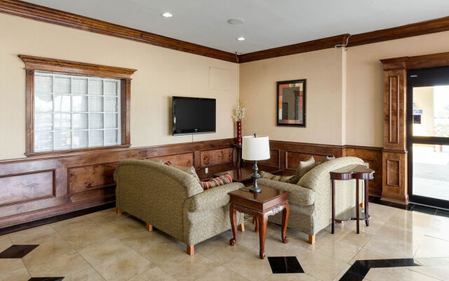 Hotel Elev8