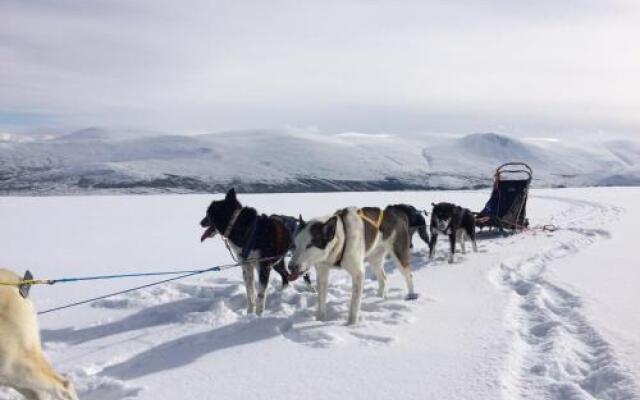 Jotunheimen Husky Lodge