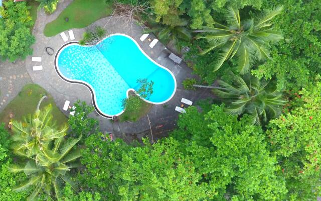 Murex Manado Dive Resort