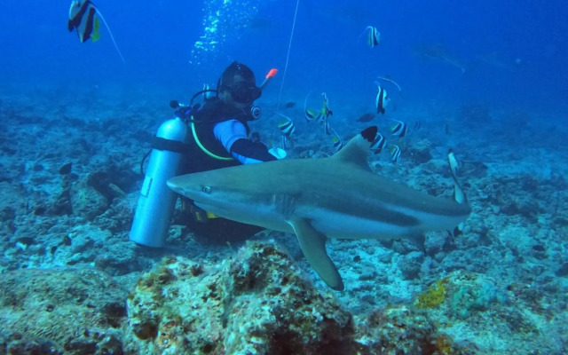 Ratu Kini Dive Resort