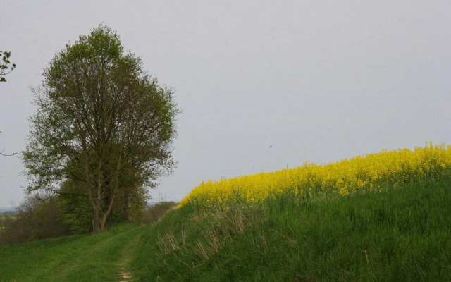 Waldpension Droyssig