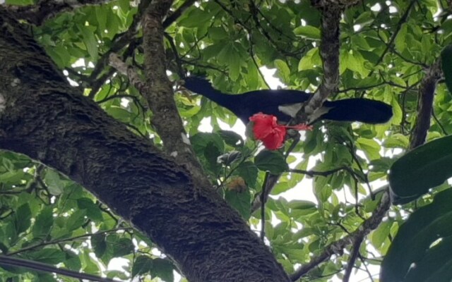 Jardín entre Montañas