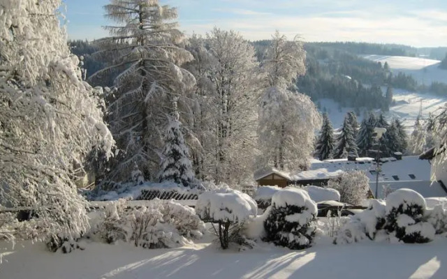 Schwarzwaldhotel Schönwald