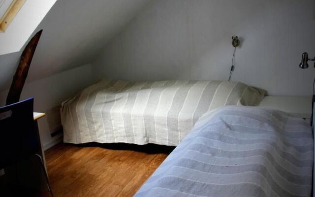 Stutteri Skandi Hest