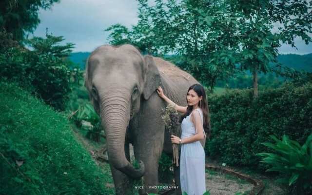 3pok resort Maewang jinxing