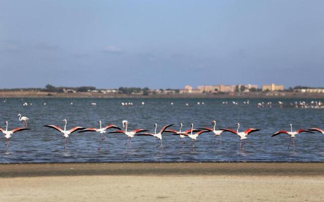 7th floor beachfront apartment with stunning views