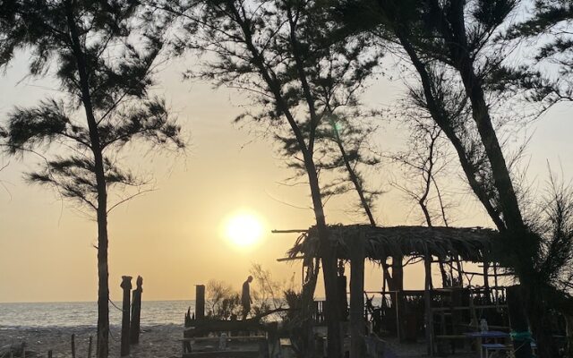 Palmarina sunset