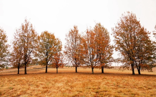 Wellstead in Champagne Valley