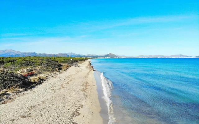 Son Rossignol finca Llubi 193