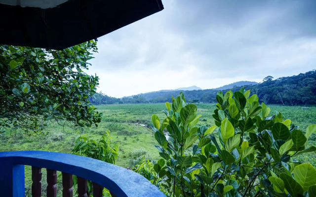 Meadow View Inn