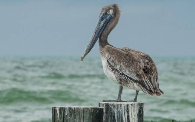 138-140 Delmar Genny's Landing