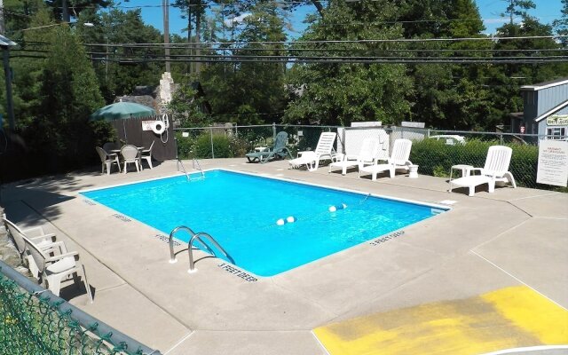 Lake George Bears Den