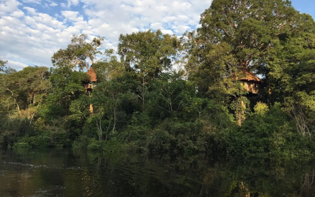 Treehouse Lodge