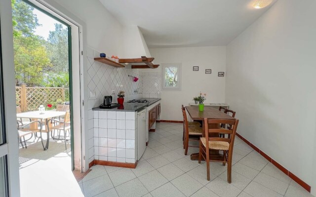 Azienda Agricola Sapereta