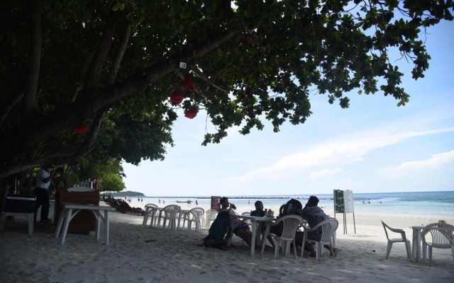Coconut House Chaweng - Hostel
