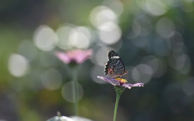 Zhuji Fengqing Hostel