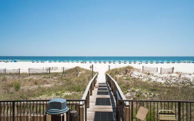 The Palms 202 Apartment 3