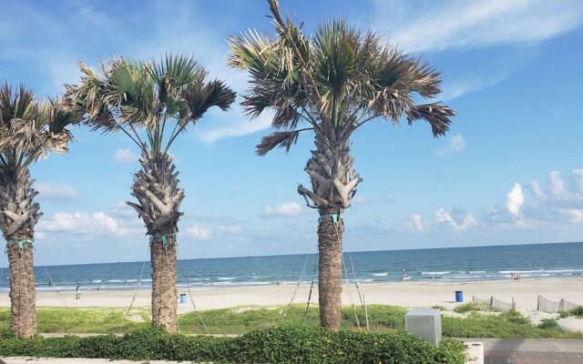 Asher House 4 Bedroom Home by Redawning