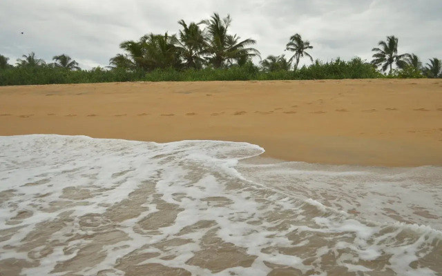 Wild Sands Beach Villa