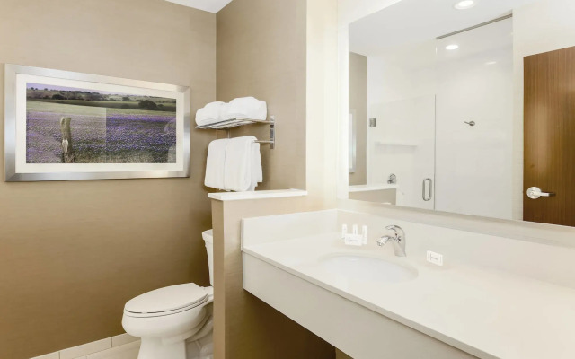 Fairfield Inn & Suites by Marriott Decatur at Decatur Conference Center