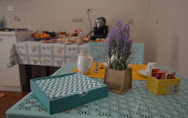 B&B Avinedda