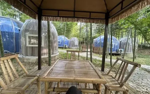 Wild Wind Starry Sky Bubble House Hotel