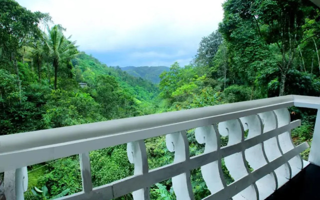 Spring & Valley View