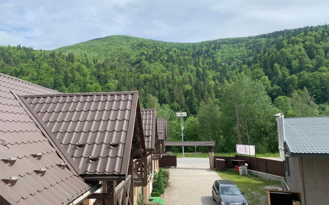 Карпатський Готель Олександрія