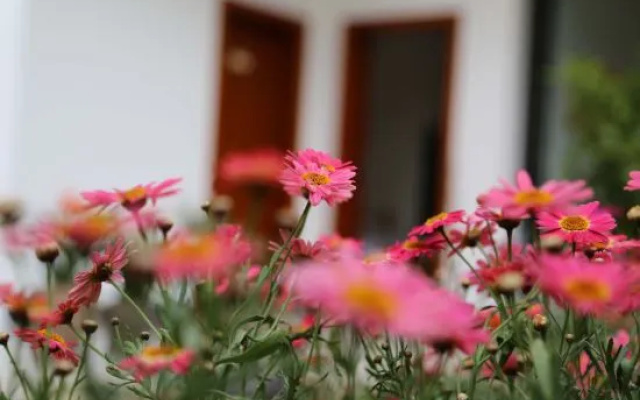 Yeyu 198 Inn in Dali ancient city – Outside – Dali