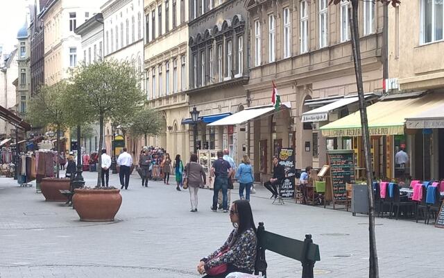 Váci street Downtown Apartments