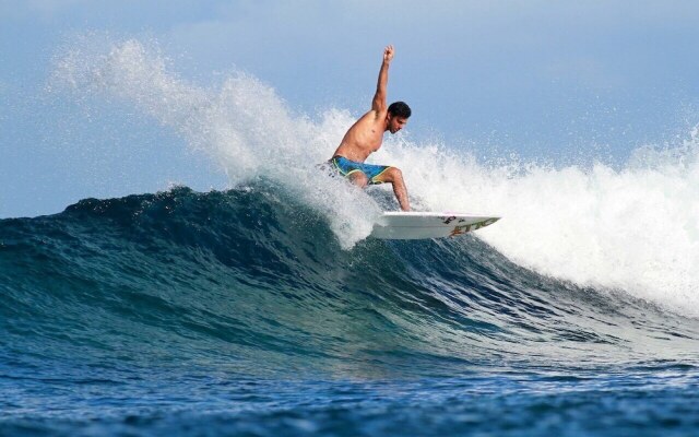 Serene Blue Bowls Surf Inn