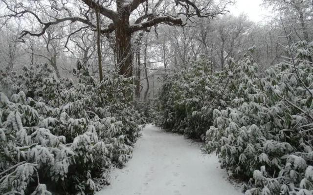 Studio Broeckestraat 12