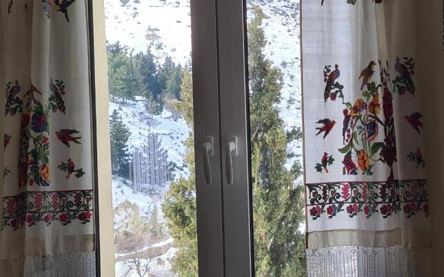 ''Prasini Folia'' Apartments - Apartment ''STEFANA''