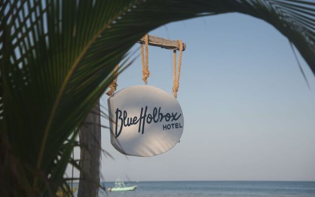 Blue Holbox Beach Front