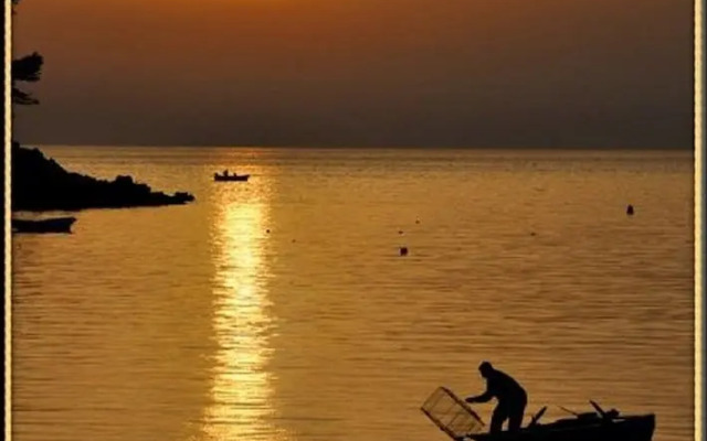 Apartment Danijela Mljet