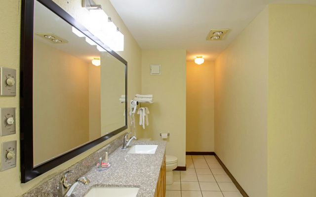 Econo Lodge Inn & Suites Wisconsin Dells