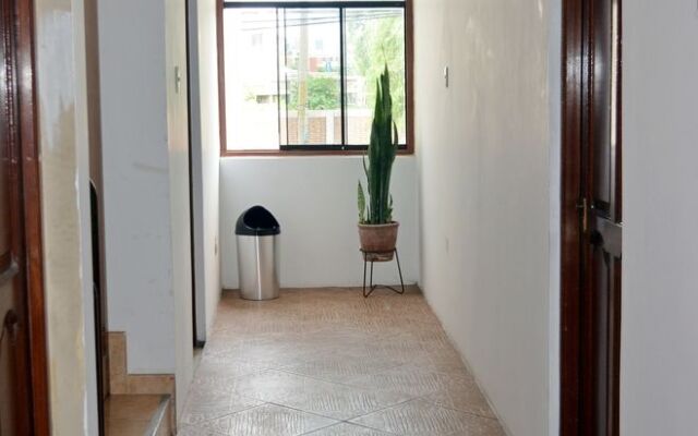 B&B Orrego