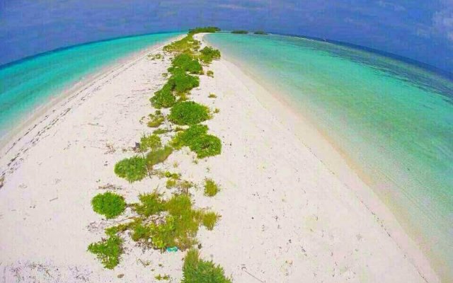 An Amazing Room With Facilities in the Paradise Location of Maldives