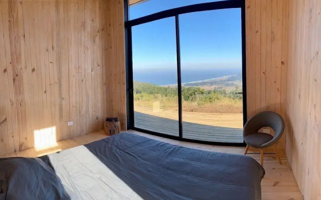 Olas de Buchupureo - con vida de campo