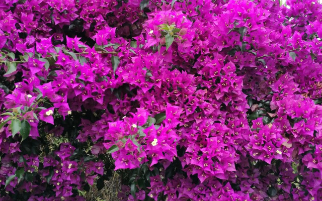 Meublé chez Gilbert