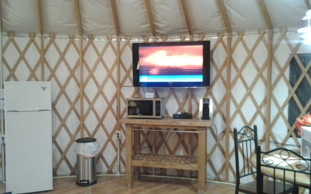 Shelby Mansfield KOA Resort