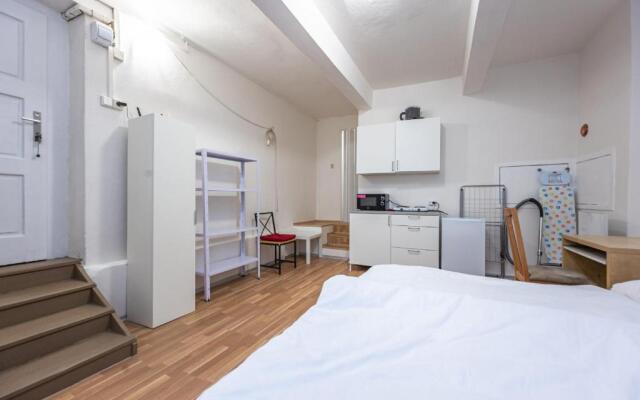 Dittrichova Apartment