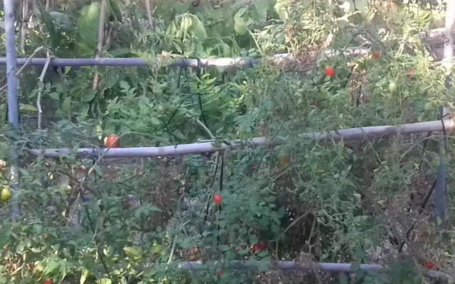 Spiti tou Papa sto Vouno