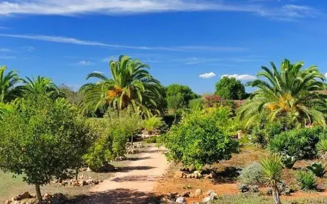 Finca Can Repos