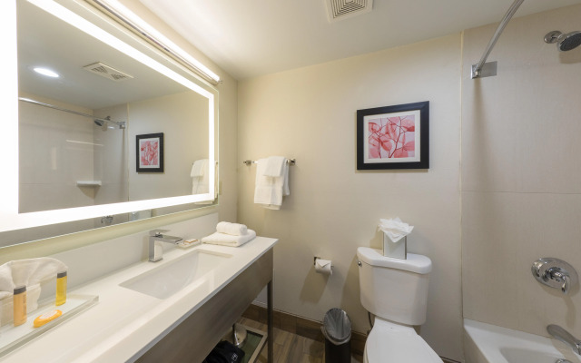 Holiday Inn Milwaukee Brookfield by IHG