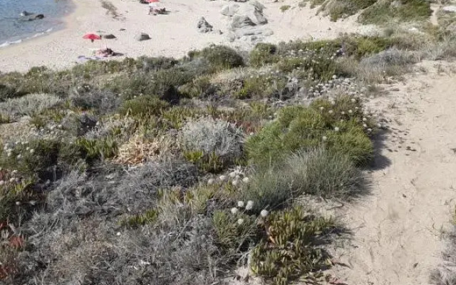 casa rosa nel residence mirice con piscina ,wifi,condizionatore - vicino al mare