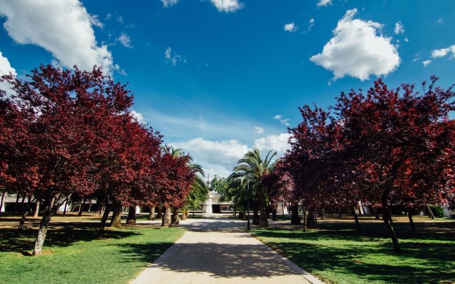 Valenciaflats Ciudad de las Ciencias